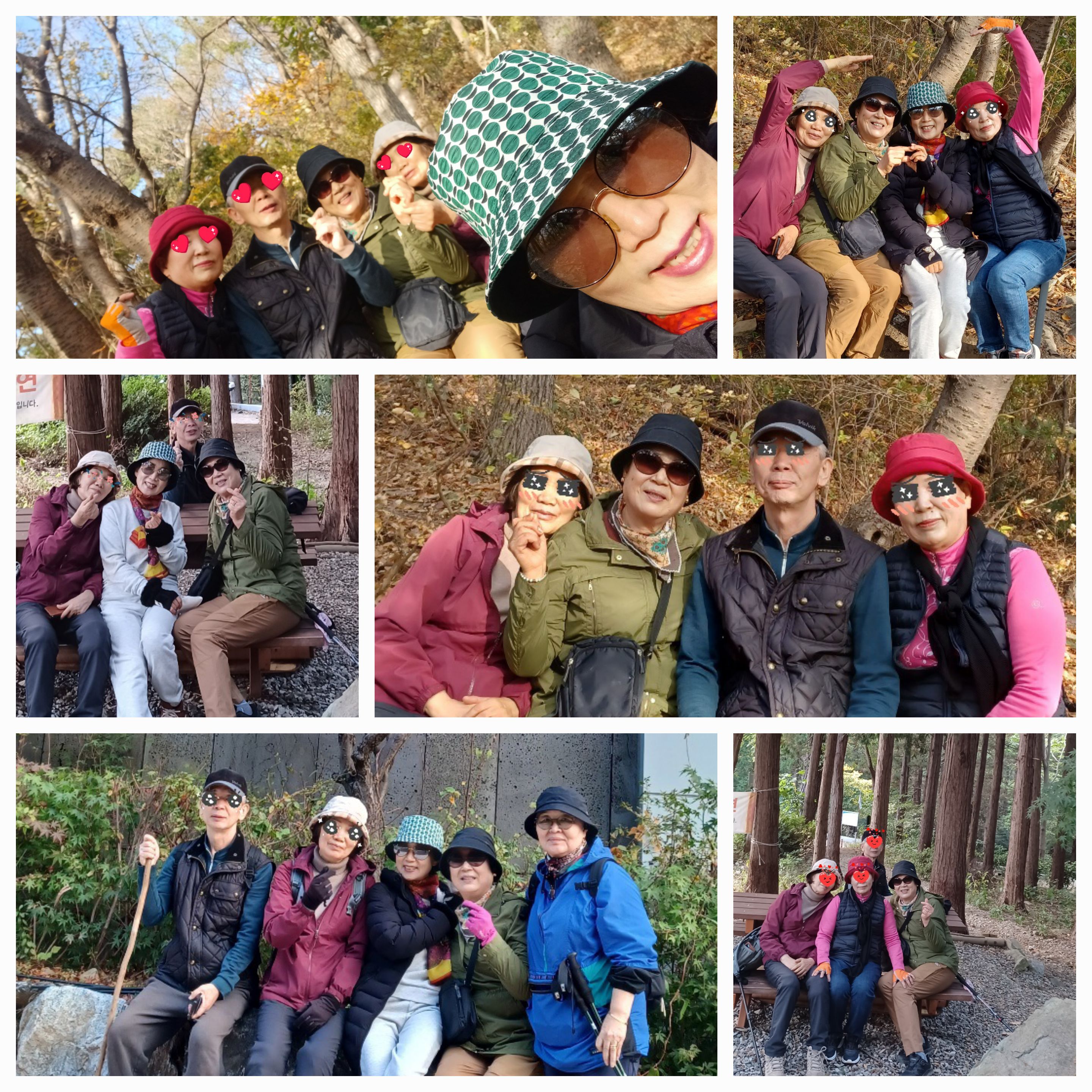 수요등산