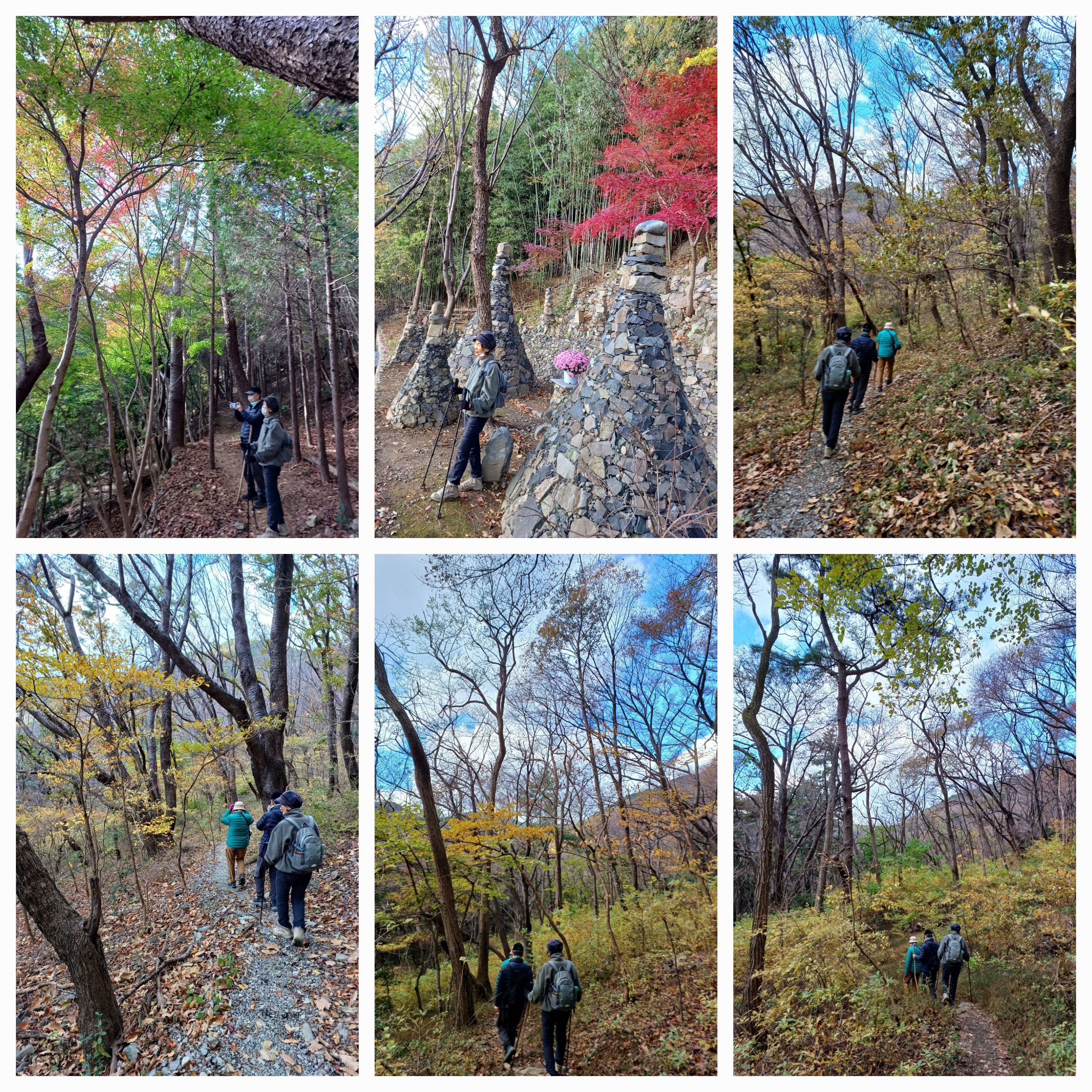등산활동