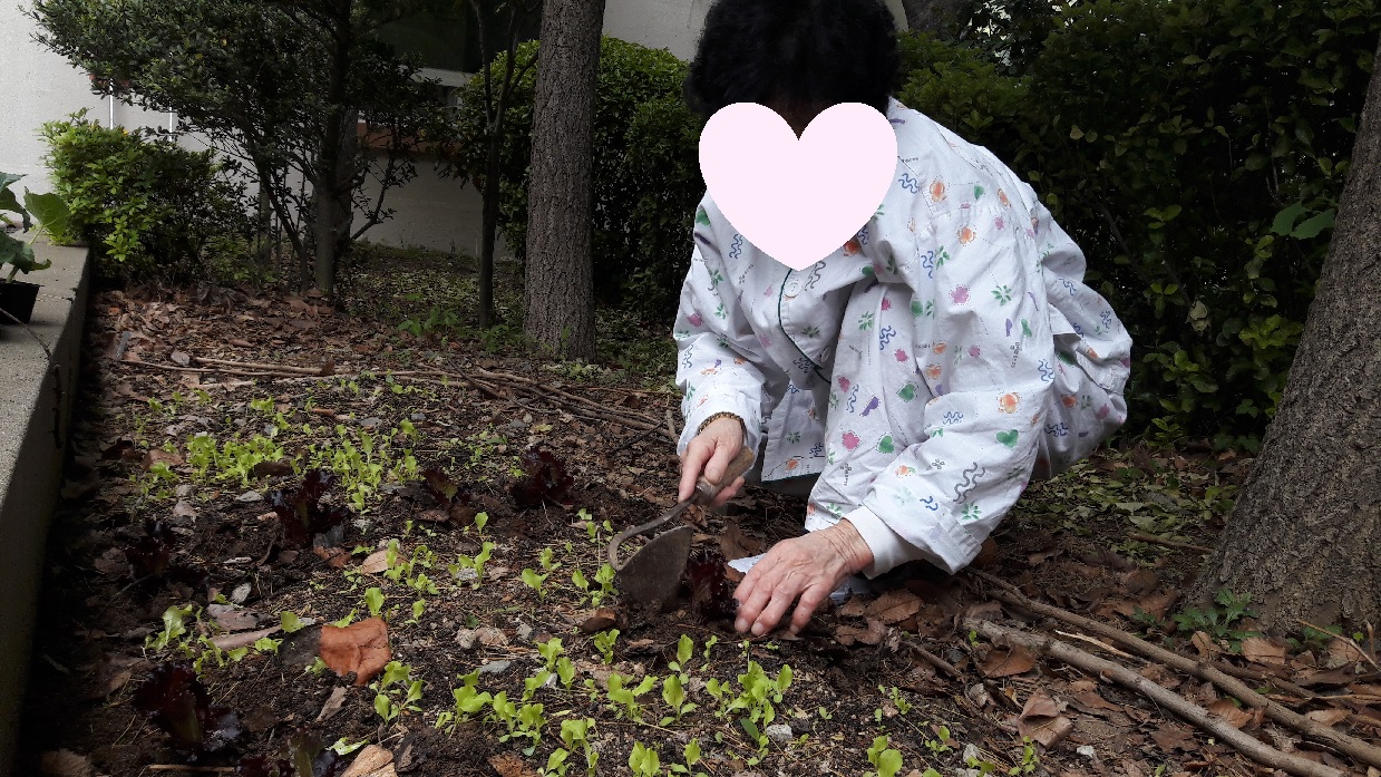 원예치료