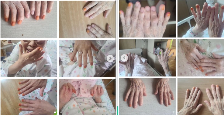 봉숭아꽃물들이기